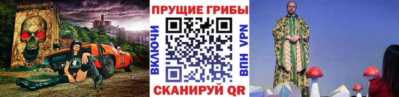 Галлюциногенные грибы Psilocybe  Олонец 